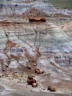 petrified forest landscape in national park arizona