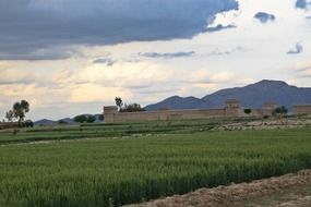 fortress in a farmland