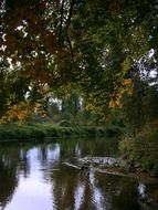 peaceful water reflection in the park