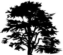 trees silhouette drawing