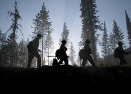 silhouettes of forest firefighters