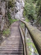 Wooden bridge over river