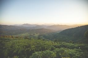 scenic green landscape at sunrise