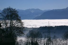 sea of fog in mountain valley on the beautiful at winter, switzerland, zurich oberland