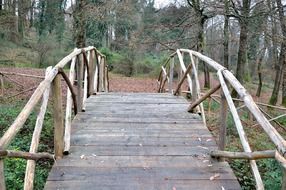 wooden bridge in the forest in ponte di legno