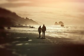 silhouette of a couple in love on the coast at evening twilight