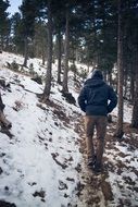 male hiking forest