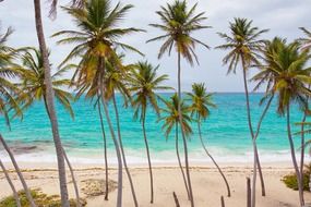 caribbean beach blue coast