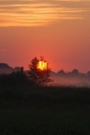 pink fog above meadow at sunrise