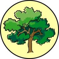 Oak tree clipart