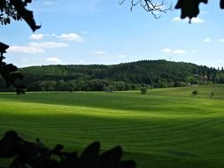 Landscape of green countryside