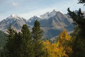 Beautiful mountain landscape with snow and colorful trees in Austria