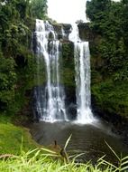 cascading waterfall in the jungle