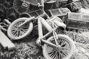 bike frozen