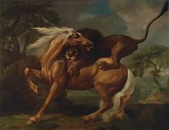 george stubbs art horse and lion painting
