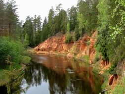 creek among the forest in Latvia