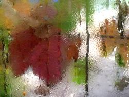 View on the beautiful and colorful autumn leaves in rain through the window