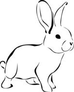 rabbit in graphic representation