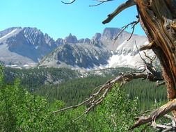 Forestry mountains in Nevada