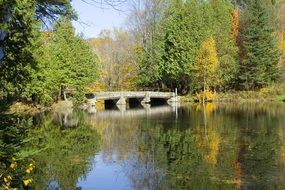 Landscape of bridge and pond