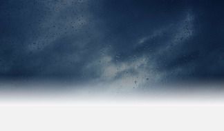 birds against a rainy sky