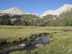 forest at the foot of the mountains in picturesque california