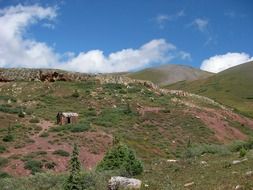 mine shack in colorado