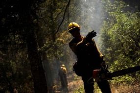 man with saw in forest, usa, colorado