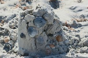 seashells in the sand tower