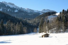 landscape bavaria winter nature