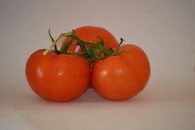 three red tomatoes on green branch