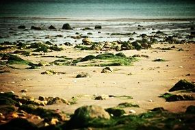 stones on sand beach at sea