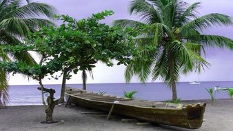 wooden boat on the tropical coast