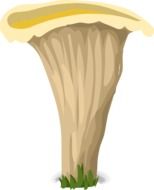 mushroom fungus white yellow hat drawing