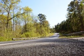 road altanta woods nature