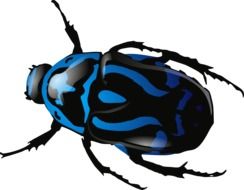 Black and white blue insect clipart