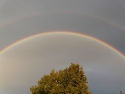 Double Rainbow over a lone tree