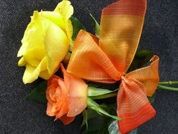 two roses are tied with a ribbon