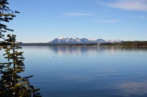 Coastline lake in yellowstone