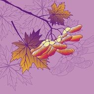 drawn seeds on a maple branch on a purple background