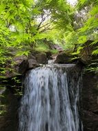 beautiful and delightful water