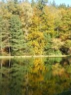 a mirror image of an autumn forest in the water