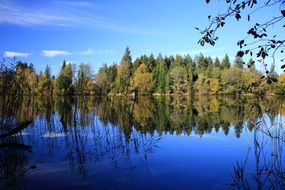 peaceful forest lake