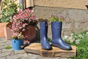 flower bed of rubber boots