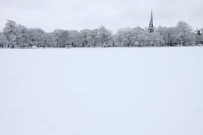 snow-covered park in January frost
