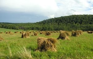 panoramic view of picturesque countryside on a cloudy day