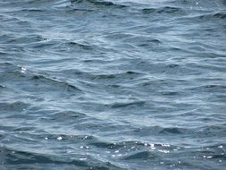 waves on water surface