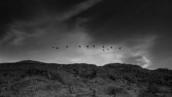 geese flying in cloudy sky above mountains