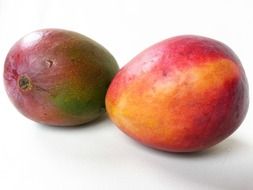 exotic tropical fresh mango fruit