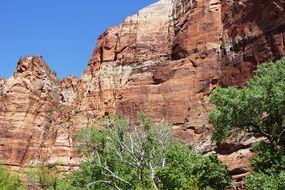 amazing zions sandstone utah park